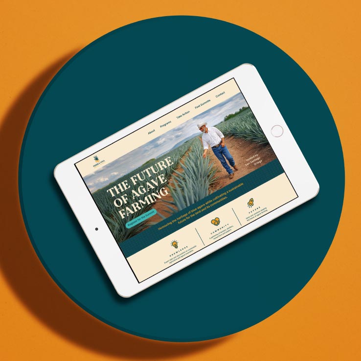 Tierra Viva website